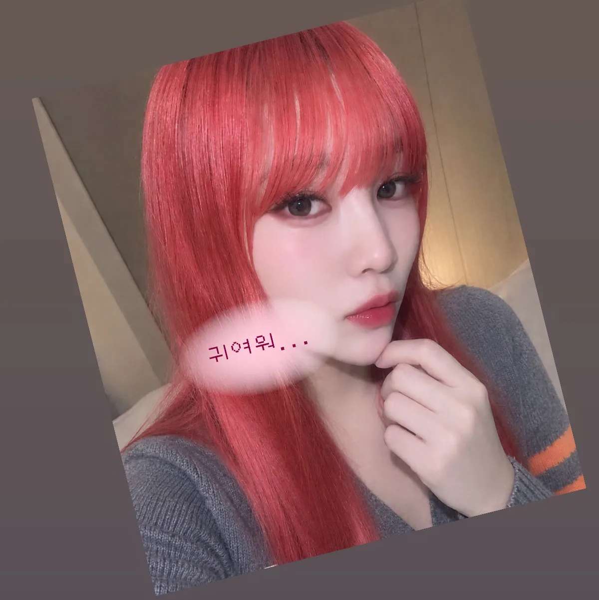 내사진