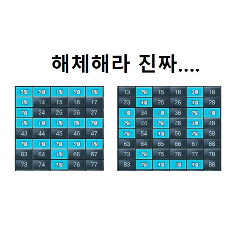 내사진