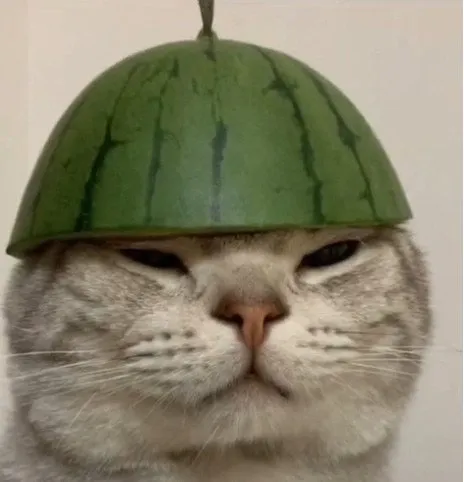 내사진