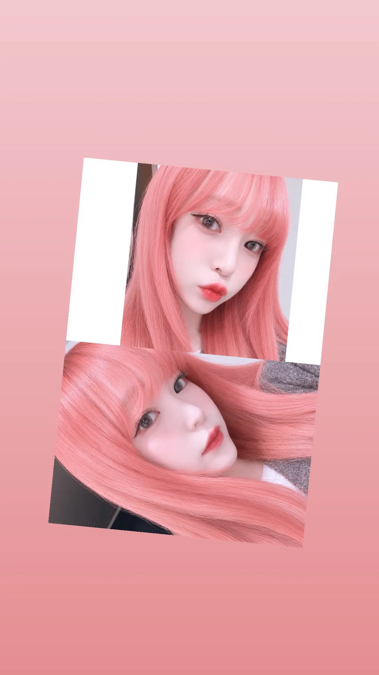 내사진