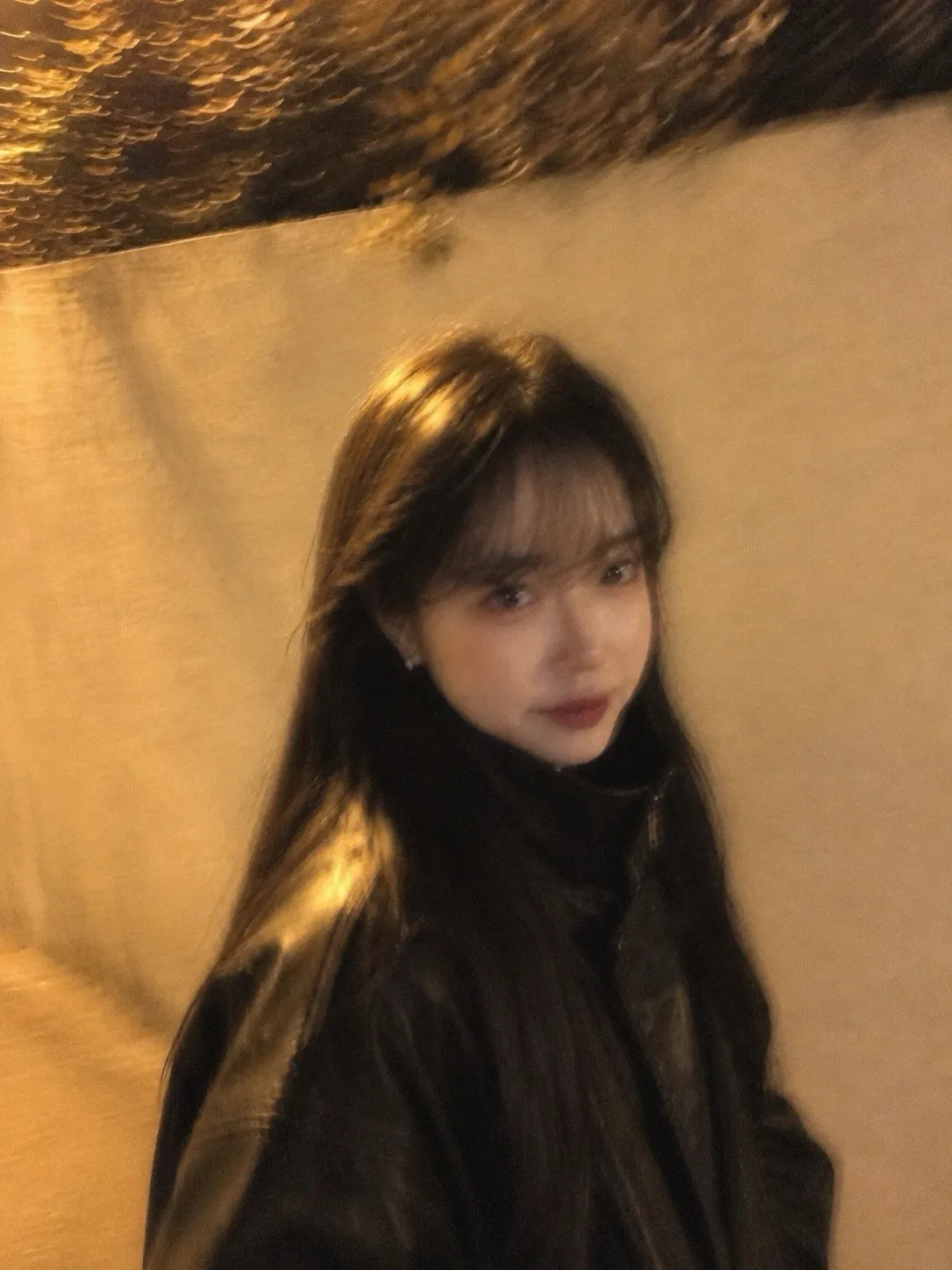 내사진