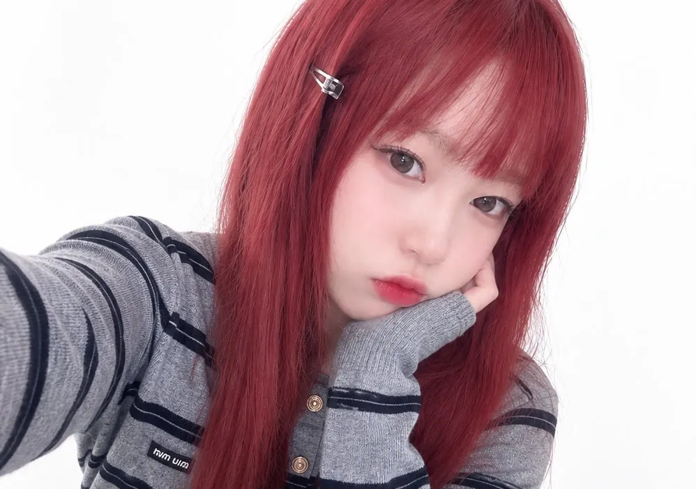 내사진