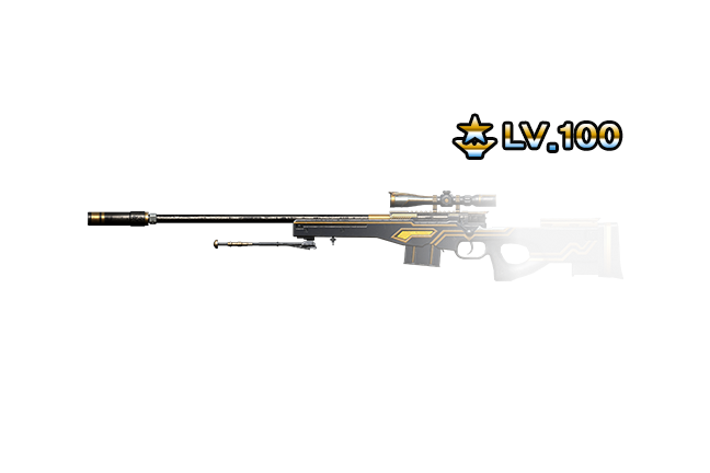 [M2]AWP(IS) Noble Lv.100 영구제