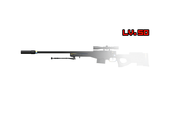 [M]AWP(IS) Double Lv.50 영구제